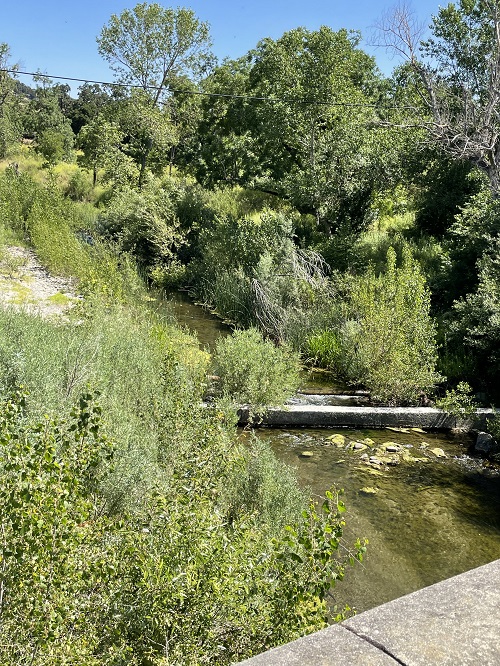 photo of pipeline running above the creek