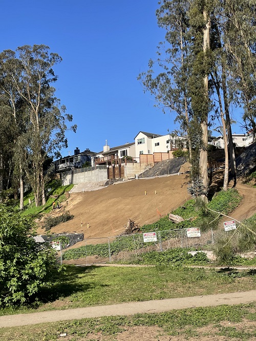 photo shows bottom two-thirds of slope now restored