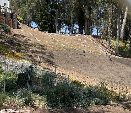 Photo of slope with pvc irrigation pipes being laid down