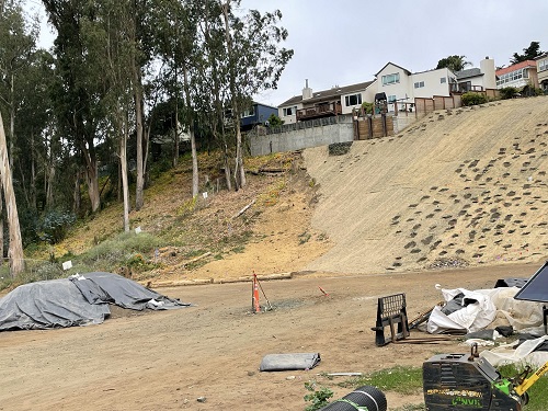 View of slope covered with matting and with holes where new plants will go