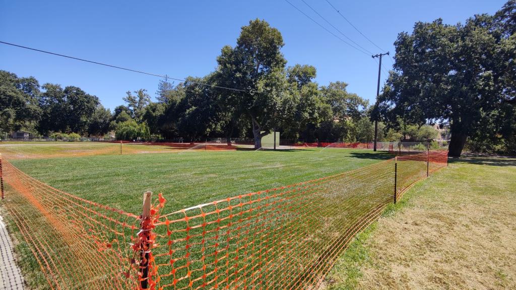 photo of work area, showing new sod and sprinklers watering the grass
