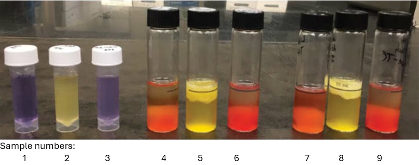 Image of test tubes partially filled with liquid. Sample 1 is purple. Sample 2 is yellow. Sample 3 is purple. Sample 4 is orange. Sample 5 is yellow with bubbles at surface. Sample 6 is rose color. Sample 7 is orange. Sample 8 is yellow with bubbles at surface. Sample 9 is rose color.	