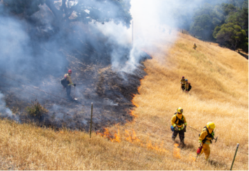 Photo shows a crew monitoring a prescribed burn grass fire.