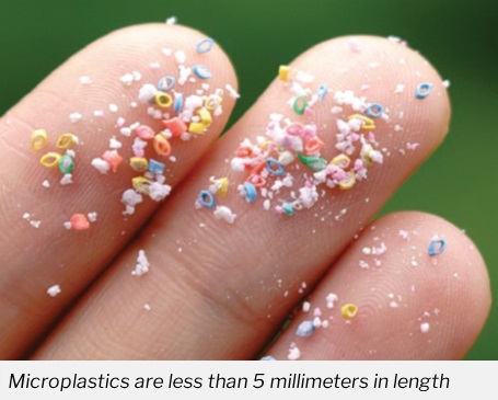 photo of human fingers with a dusting of small colored plastic dust captioned "Microplastics are less than 5 millimeters in length"
