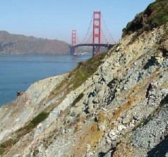 A serpentinite outcrop near the Presidio in San Francisco receives its green color from the chromium naturally present in the rock