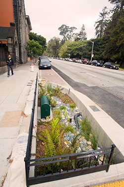 The Green Infrastructure Hiding in Plain Sight