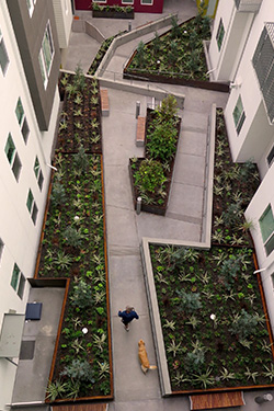 Green infrastructure creates greener living spaces, like interior courtyards, while managing stormwater.