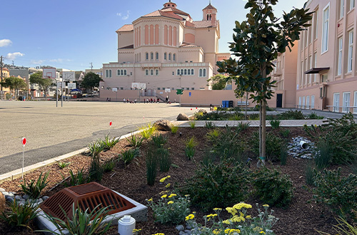 The Green Infrastructure Hiding in Plain Sight