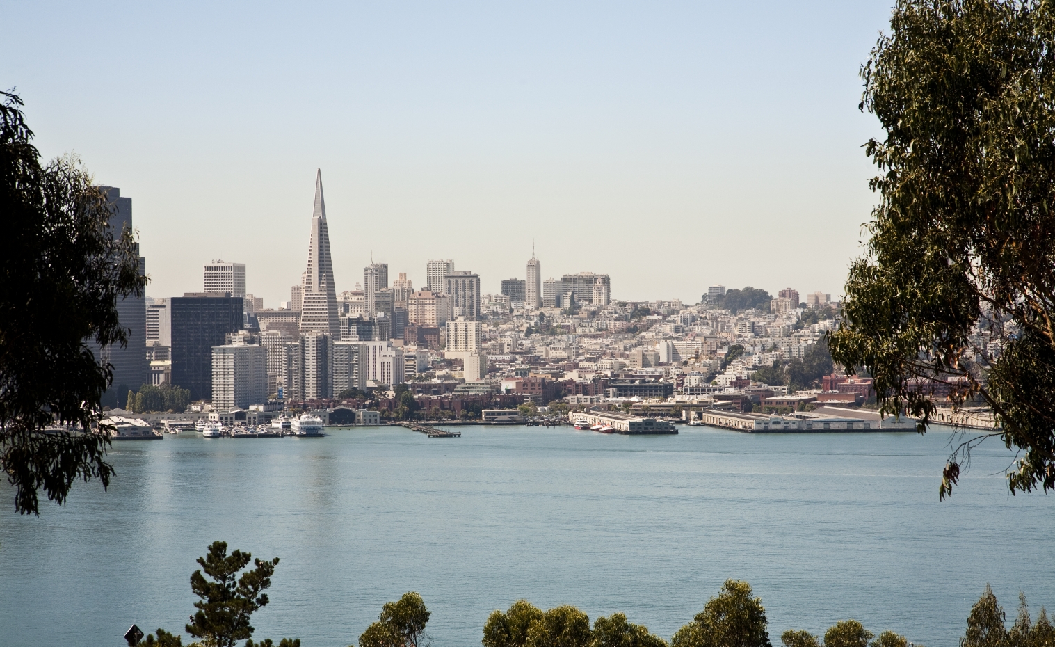 San Francisco Cityscape from the view of Yerba Buena Island. 