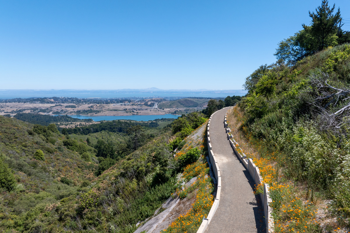 Portion of the ridge trail with watershed views to the left of trail