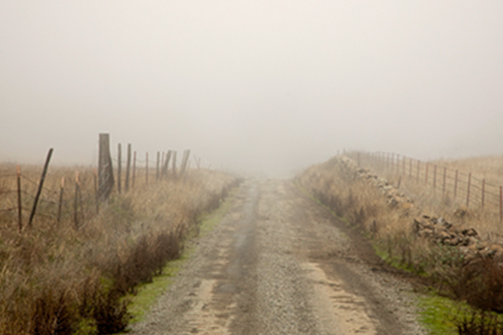 country road clouded in fog