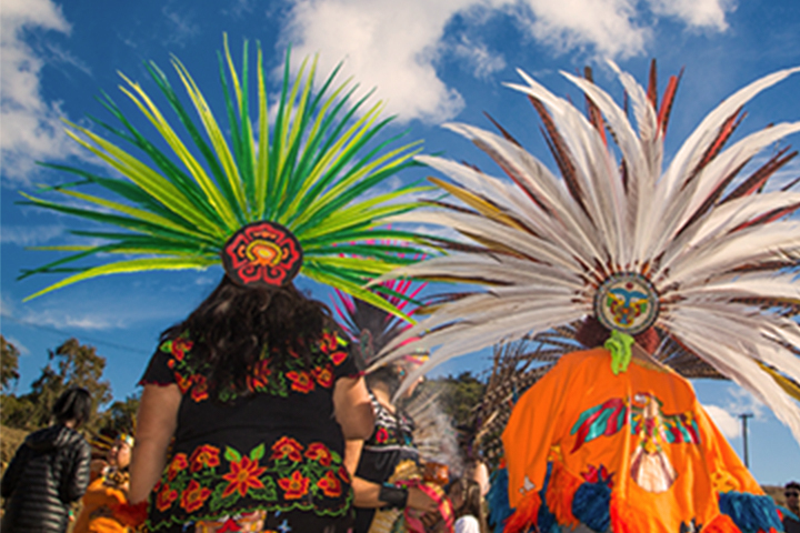 image of feathered head dresses