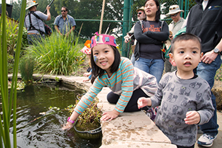 young child dipping their hand into a pond