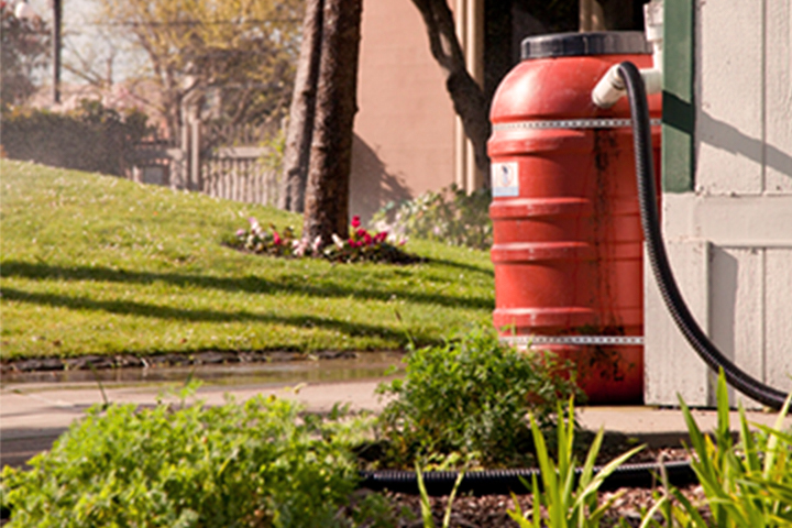 Rainbarrel