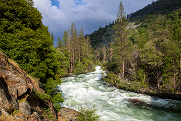 Water flowing through Upper Tuolumne Watershed