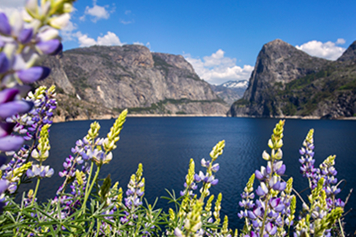 panoramic view of the Hetch Hetchy Reservoir