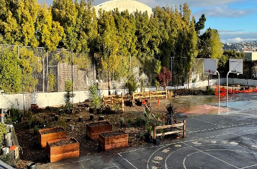 Wooden planters in an unpaved area at the corner of basketball courts with a row of trees in the background