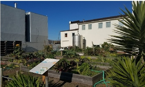 Garden with wooden planters, interpretive sign, tropical plants at the border of the image, large buildings and a large metal tank in the background