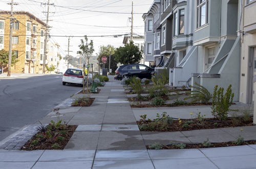 Wide sidewalk with concrete slabs, interrupted by newly planted narrow gardens with drought resistant vegitation. Residential buildings to the right and a street with parked cars to the left.