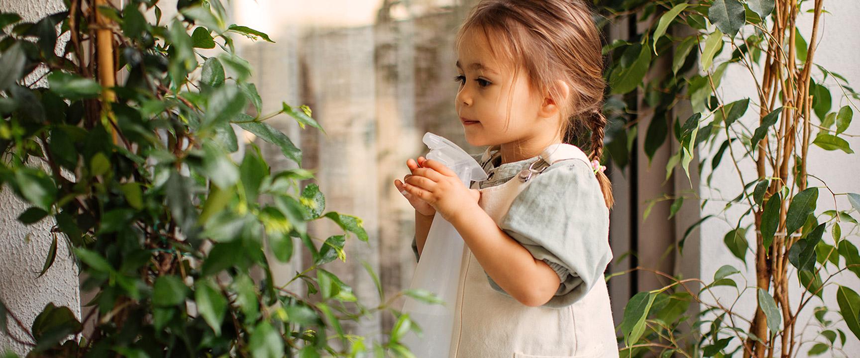 幼兒給室內植物噴水