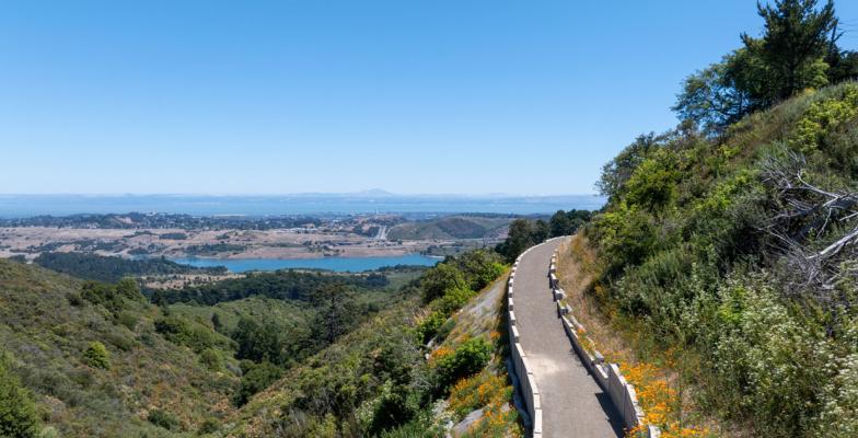 Image of trail with trees and with Crystal Springs Reservoir in the distance.