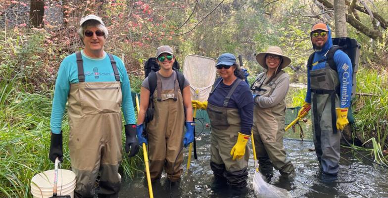 Group of five people wearing waders and gloves standing in a shallow forest stream with fishing nets and equipment.