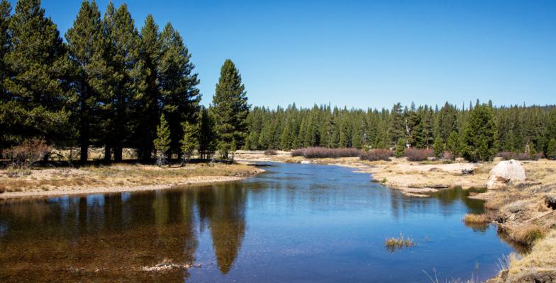 Tuolumne River