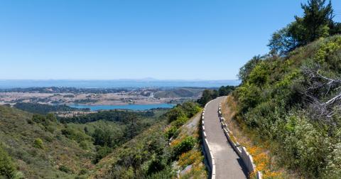 Image of trail with trees and with Crystal Springs Reservoir in the distance.