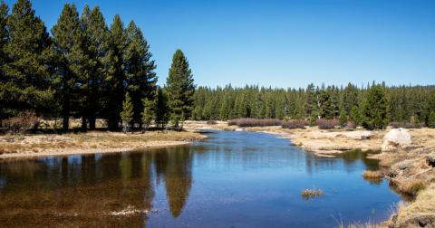 Tuolumne River