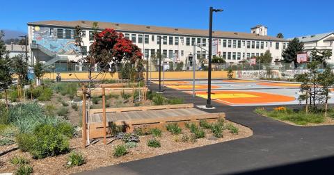 San Francisco Middle School Playground Transformed from Asphalt to Green