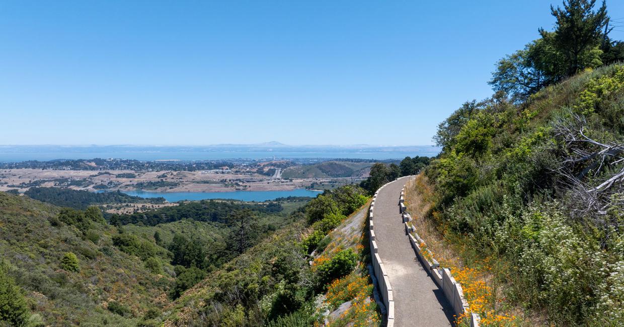 Image of trail with trees and with Crystal Springs Reservoir in the distance.