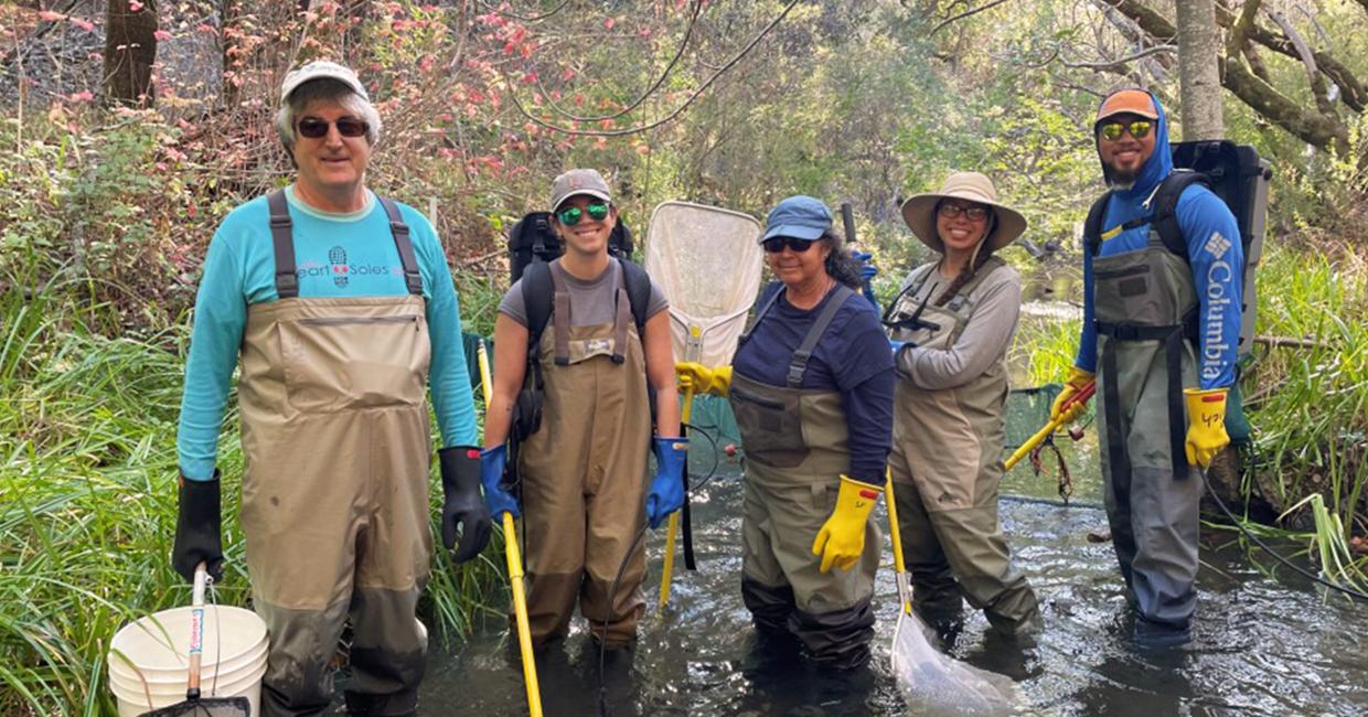 Group of five people wearing waders and gloves standing in a shallow forest stream with fishing nets and equipment.