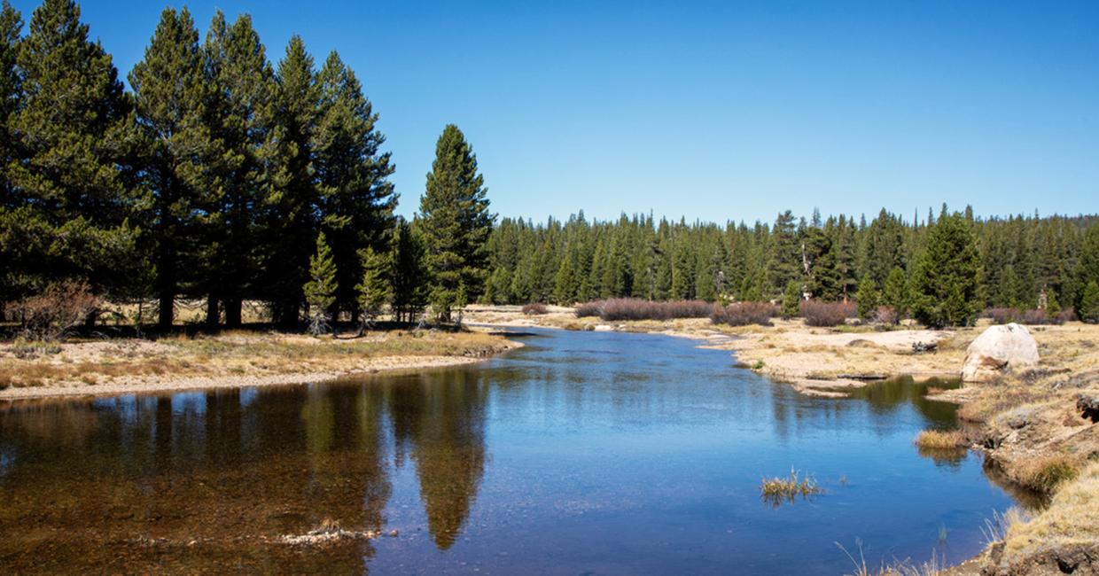 Tuolumne River