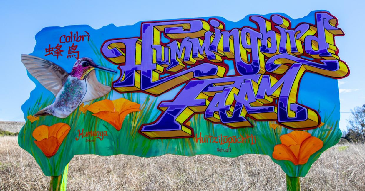 Hummingbird Farm is purple letters spray painted against a building with flowers in the foreground.