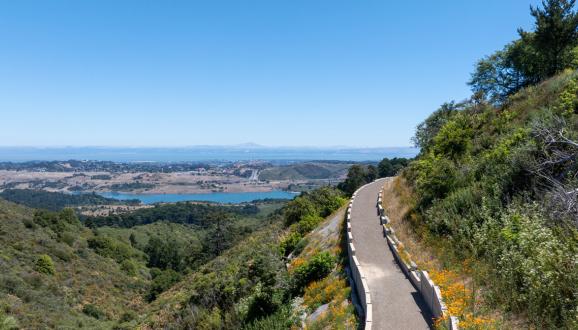 Image of trail with trees and with Crystal Springs Reservoir in the distance.