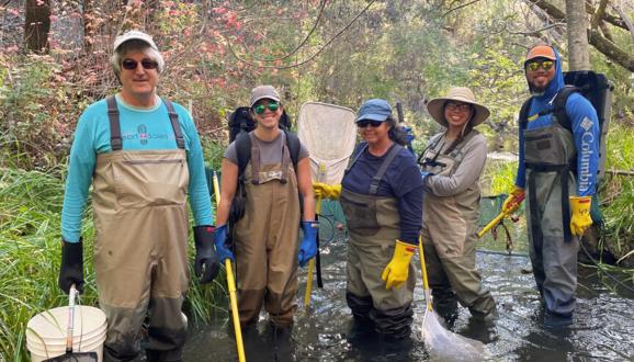 Group of five people wearing waders and gloves standing in a shallow forest stream with fishing nets and equipment.