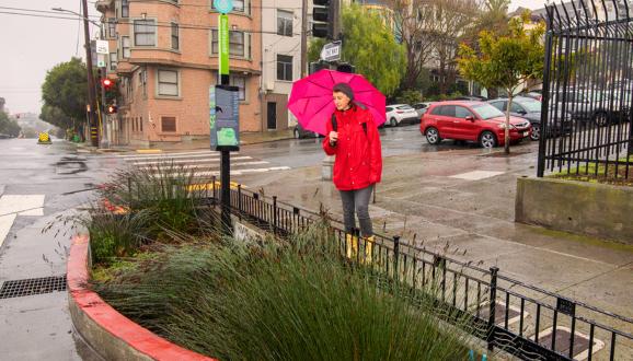 The Green Infrastructure Hiding in Plain Sight