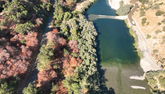 Experimental Hatchery Strays from the San Joaquin River Restoration Program Find Suitable Habitat and Cold Water on the Tuolumne