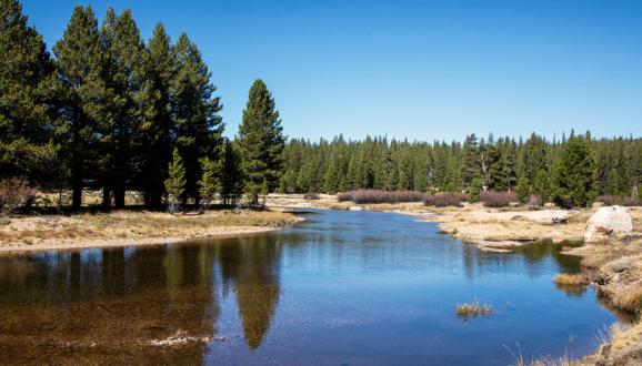 Tuolumne River