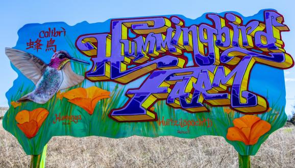 Hummingbird Farm is purple letters spray painted against a building with flowers in the foreground.