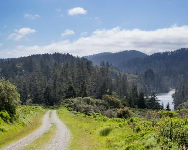 Picture of the Fifield-Cahill Ridge Trail as it cuts through green grasses. Reservoir waters and dark green pines are seen in the distance. 