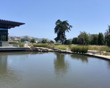 Pond behind the watershed center.