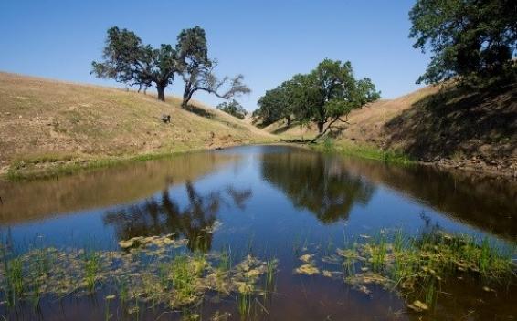 Sheep Camp Creek
